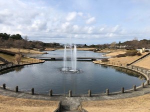 IMG_4322