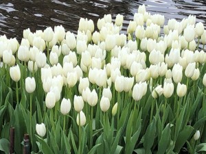 IMG_4360