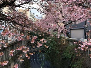 IMG_4477