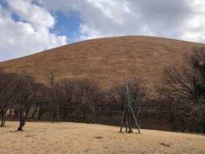 IMG_4527