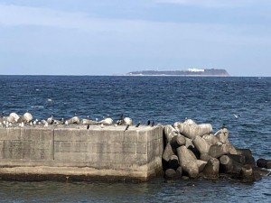 IMG_4540