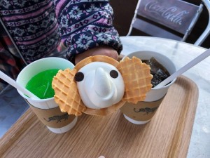 IMG_4398