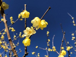 IMG_4570