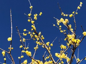 IMG_4571