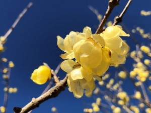 IMG_4573