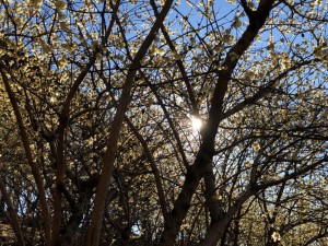 IMG_4580