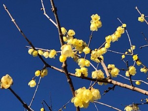 IMG_4589