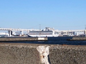 IMG_4753