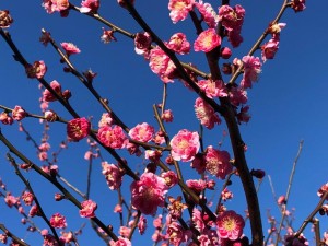 IMG_4764