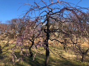 IMG_4767