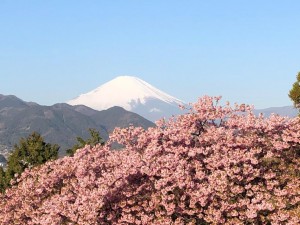 IMG_5023