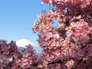 IMG_5051