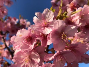 IMG_5059