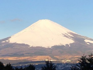 IMG_4622