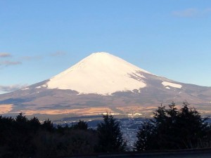 IMG_4623