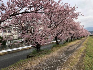 IMG_5400