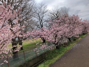 IMG_5414