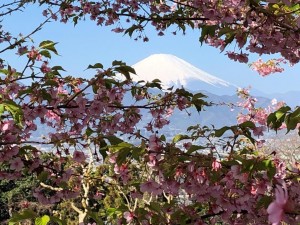 IMG_5127