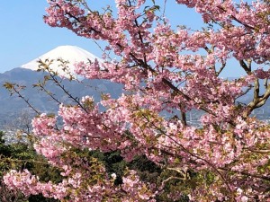 IMG_5129