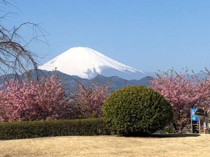 IMG_5130