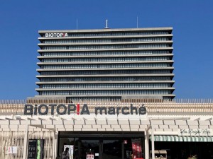 IMG_5135
