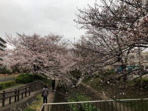 IMG_5529
