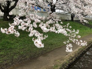 IMG_5541