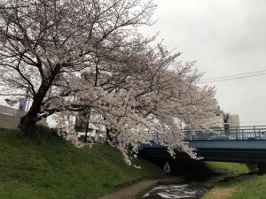 IMG_5542