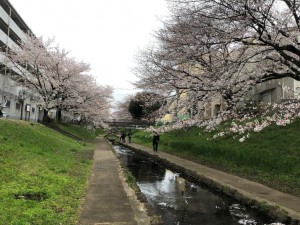 IMG_5543
