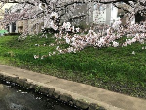 IMG_5544