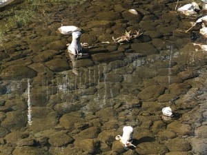 IMG_5768