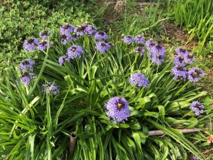 IMG_5772