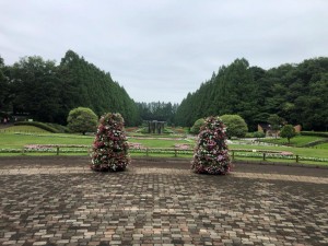 IMG_5915
