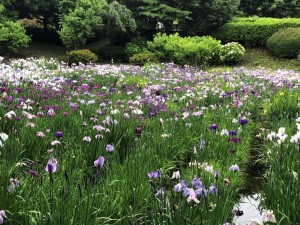 IMG_5920