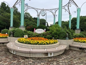 IMG_5939