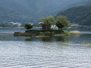 IMG_6105