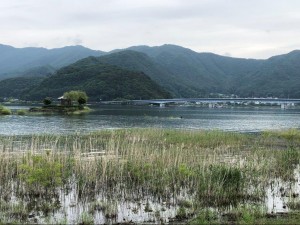 IMG_6109