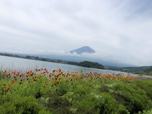 IMG_6119