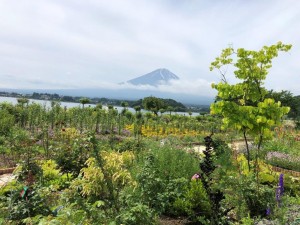 IMG_6125