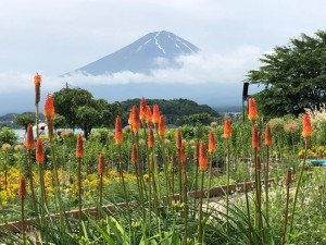 IMG_6126