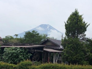 IMG_6136
