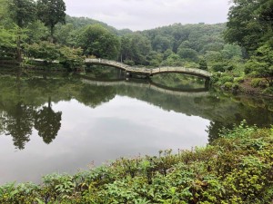 IMG_6396