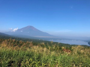 IMG_6729