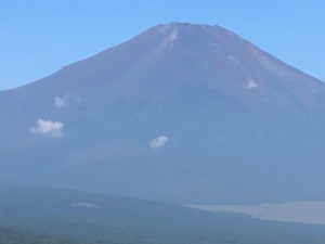 IMG_6730