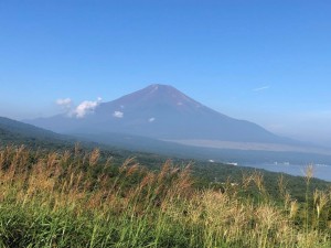 IMG_6731