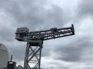 IMG_7316