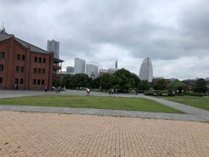 IMG_7318