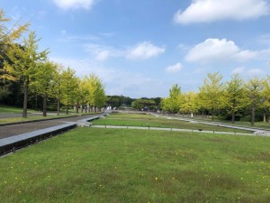 IMG_7351