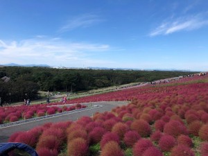 IMG_7515