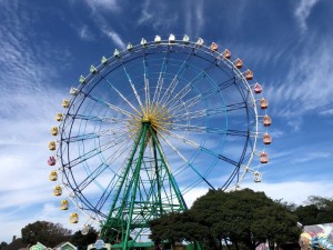 IMG_7558